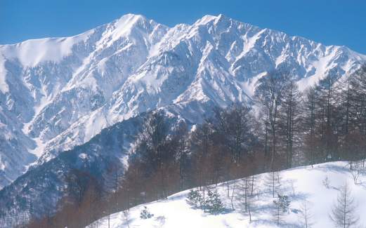 01KASIMAYARIGATAKE-M.JPG